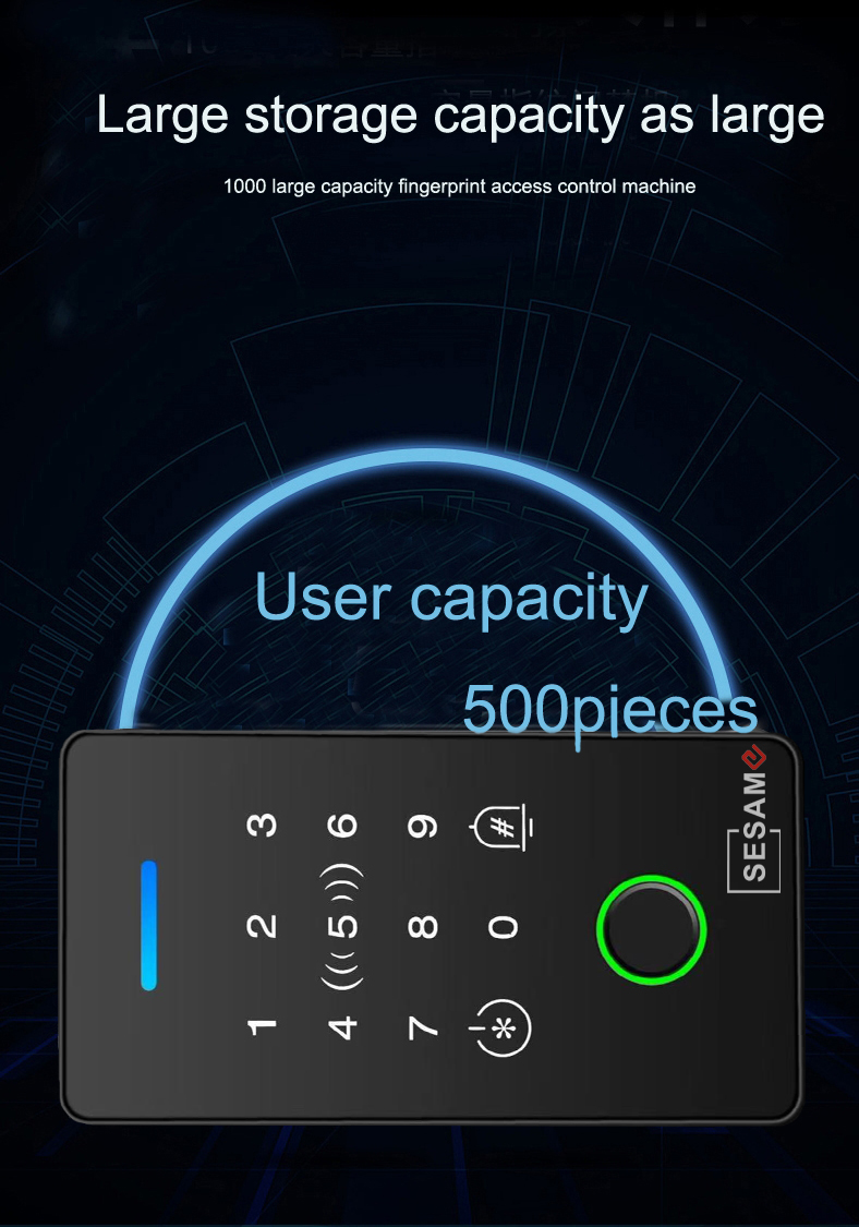 1790150394538242.jpg